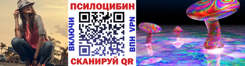 Галлюциногенные грибы Psilocybine cubensis  продажа наркотиков  Багратионовск 